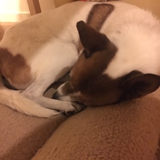 190101オト.jpeg