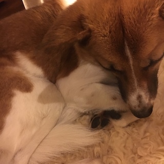 190101ロク.jpeg