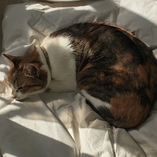 190224n1.jpg