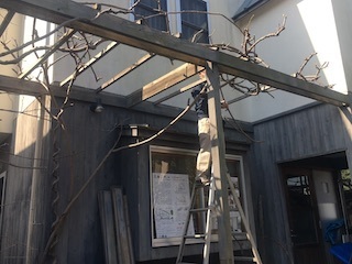 190310パーゴラ.jpg