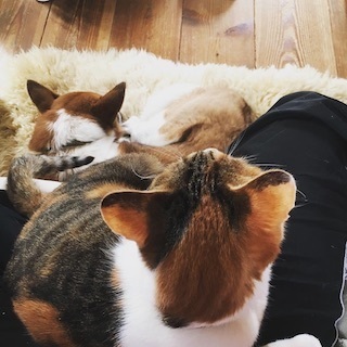 190310nr.jpg