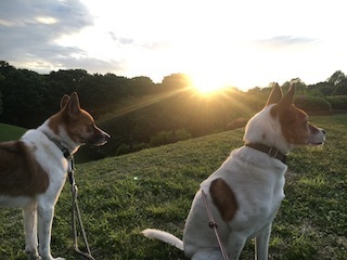 190509or.jpg