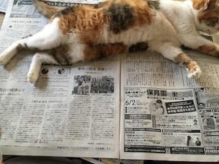 190519n.jpg