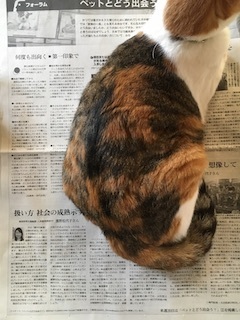 190519n2.jpg