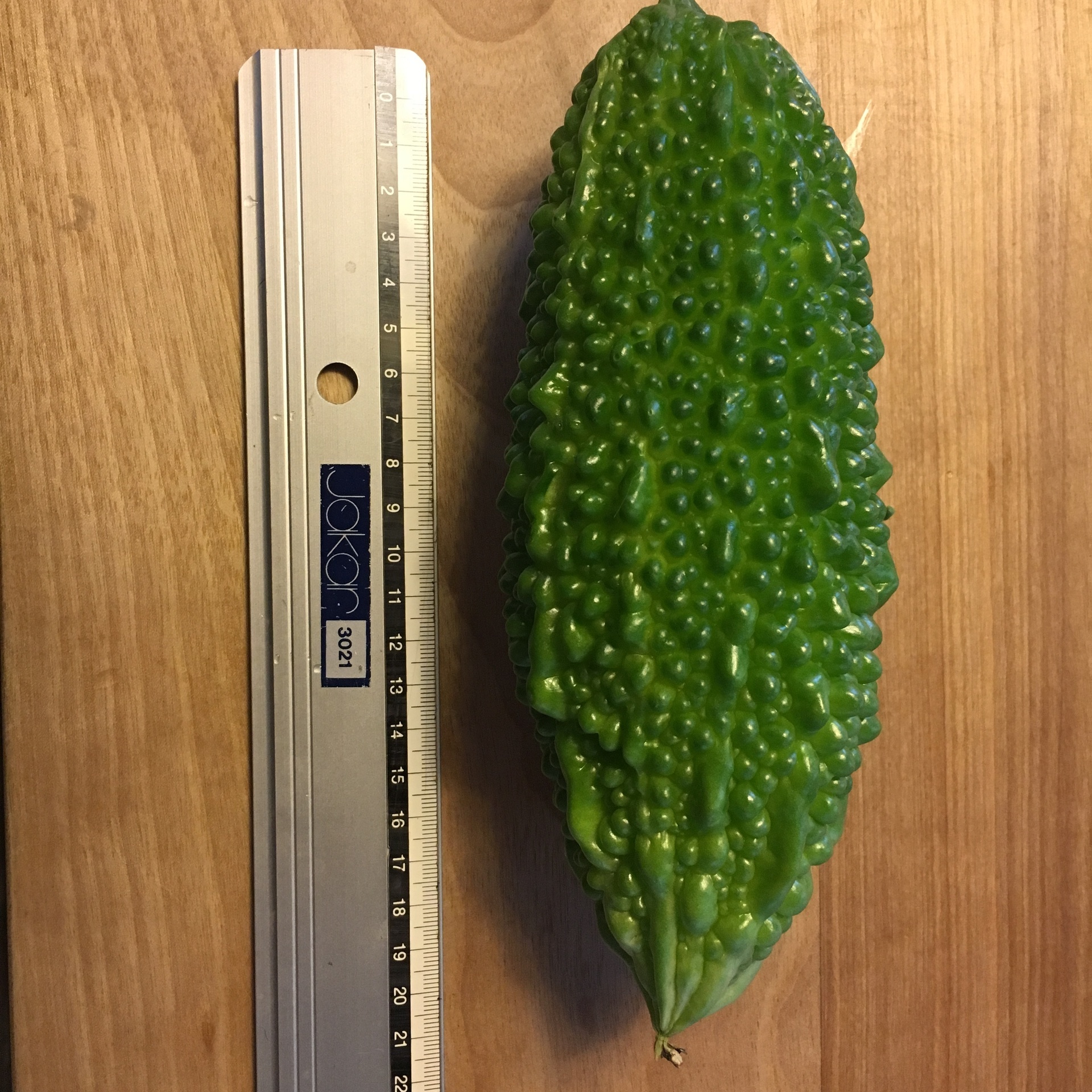 D8A6773F-AF09-4EE4-99FD-786CF487AB90.jpeg